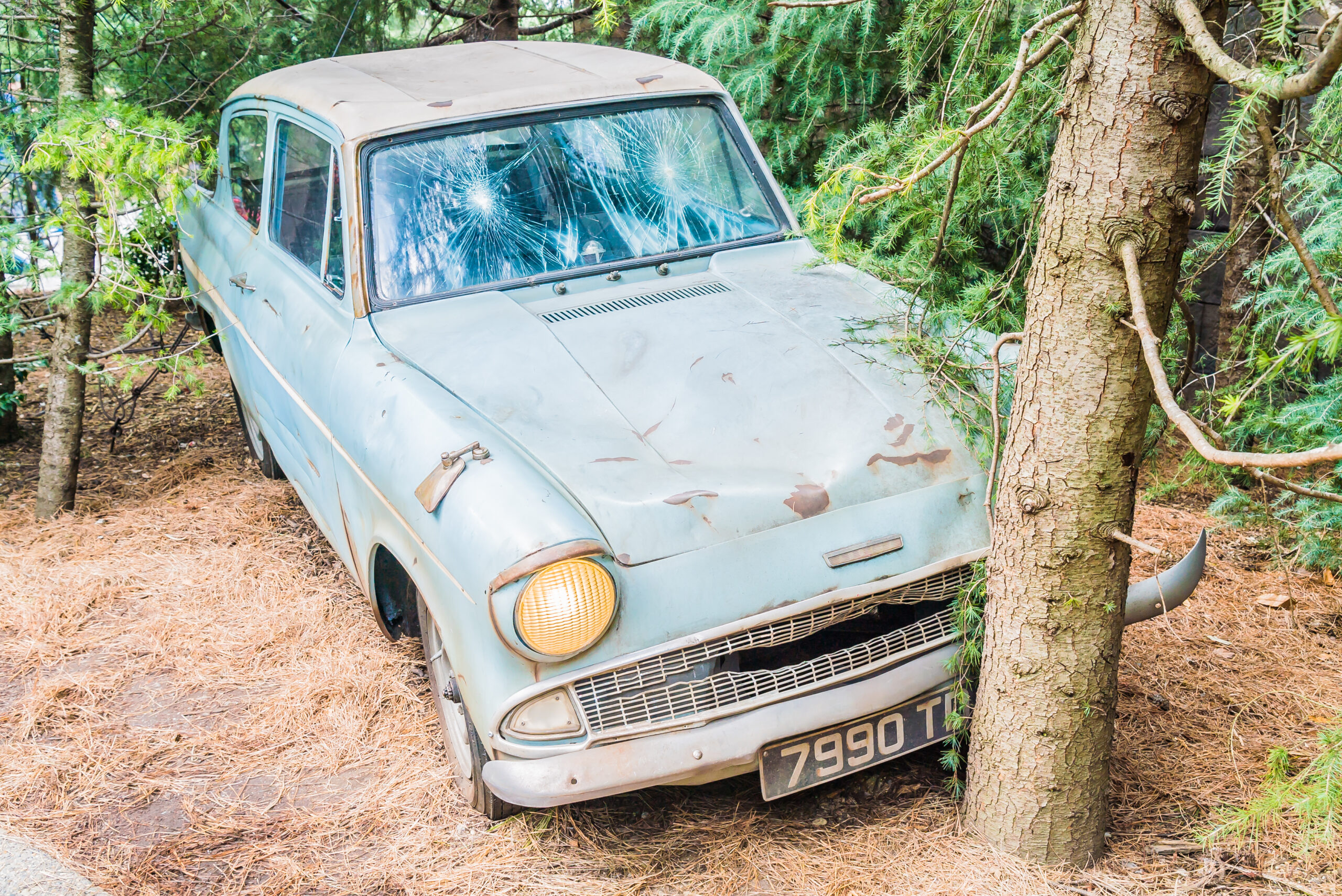 Retiro de Coches No Deseados